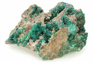Sparkling Dioptase Crystal Cluster - Republic of the Congo #277845