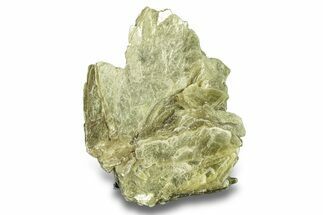 Lustrous Muscovite Crystal Cluster - Minas Gerais, Brazil #277501