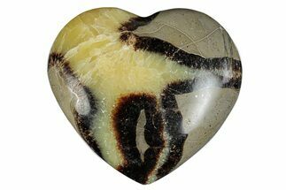 Polished Septarian Heart - Madagascar #278049