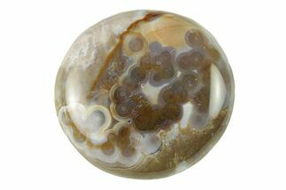 Polished Ocean Jasper Stone - New Deposit #277026