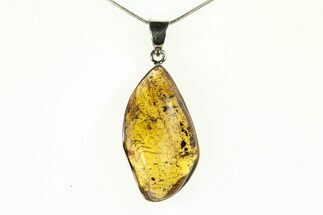 Polished Baltic Amber Pendant (Necklace) - Sterling Silver #279194