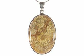 Polished Fossil Coral Pendant - Sterling Silver #279240