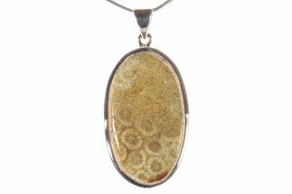 Polished Fossil Coral Pendant - Sterling Silver #279241