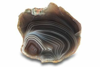 Polished Botswana Agate - Botswana #279743
