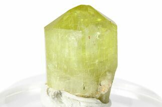 Gemmy Yellow-Green Apatite Crystal - Morocco #276520