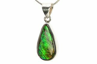 Stunning Ammolite Pendant (Necklace) - Sterling Silver #279998