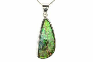 Stunning Ammolite Pendant (Necklace) - Sterling Silver #280000