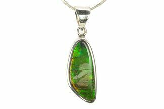 Stunning Ammolite Pendant (Necklace) - Sterling Silver #280001