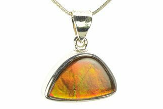 Stunning Ammolite Pendant (Necklace) - Sterling Silver #280002