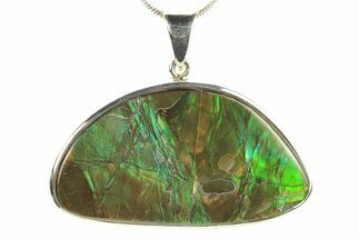 Stunning Ammolite Pendant (Necklace) - Sterling Silver #280047
