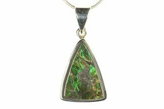Stunning Ammolite Pendant (Necklace) - Sterling Silver #280048