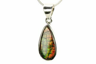 Stunning Ammolite Pendant (Necklace) - Sterling Silver #280066