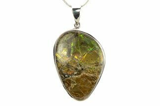 Stunning Ammolite Pendant (Necklace) - Sterling Silver #280068