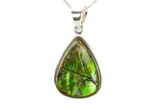 Stunning Ammolite Pendant (Necklace) - Sterling Silver #280070