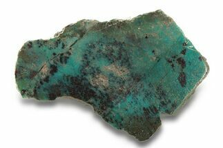 Colorful Chrysocolla and Shattuckite Slab - Mexico #280137