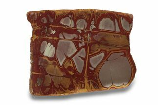 Polished Noreena Jasper Slab - Australia #280193