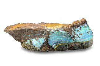 Electric Blue Boulder Opal Specimen - Queensland, Australia #280244
