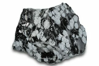 Snowflake Obsidian Section - Utah #279855