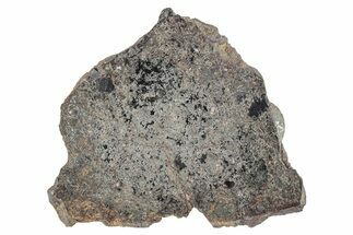 Polished Vaca Muerta Mesosiderite Meteorite ( g) - Chile #280615