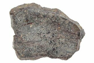 Polished Vaca Muerta Mesosiderite Meteorite ( g) - Chile #280617
