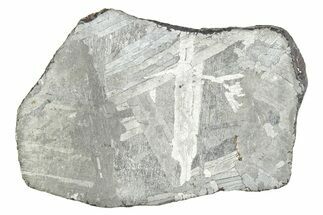 Etched Mundrabilla Iron Meteorite Section ( g) - Australia #280635