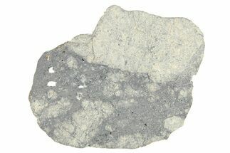 Eucrite Meteorite Slice ( g) - From Vesta Minor-Planet #280650