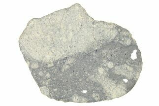 Eucrite Meteorite Slice ( g) - From Vesta Minor-Planet #280675