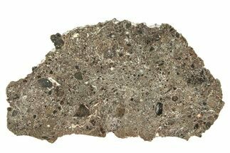 Polished Lunar Meteorite Slice ( g) - Tisserlitine #280680
