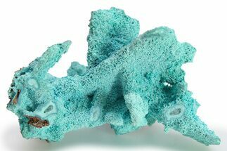 Chrysocolla Pseudomorph - Lupoto Mine, DR Congo #280756