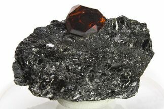 Fluorescent Zircon Crystal in Biotite Schist - Norway #280758