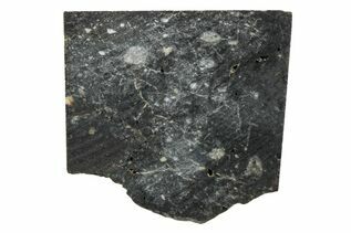 Starry Night Meteorites For Sale