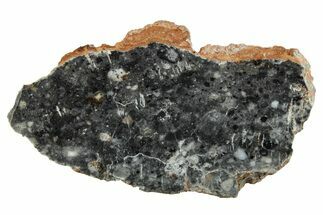 Lunar Meteorite Slice ( g) - Bechar #280798