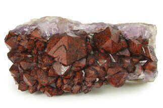 Thunder Bay Amethyst Cluster with Hematite - Canada #281245