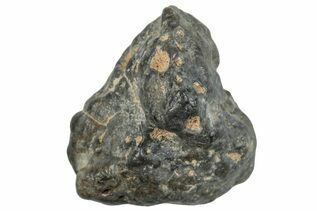 Laayoune 002 Meteorites For Sale