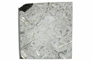 Etched Tambo Quemado Iron Meteorite Slice ( g) - Peru #281175