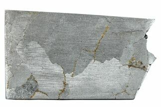 Campo del Cielo Iron Meteorite Slice ( g) - Argentina #281193