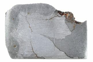 Campo del Cielo Iron Meteorite Slice ( g) - Argentina #281299