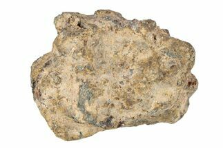 Pallasite Meteorite ( g) - NWA #281372