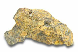 Pallasite Meteorite ( g) - NWA #281389