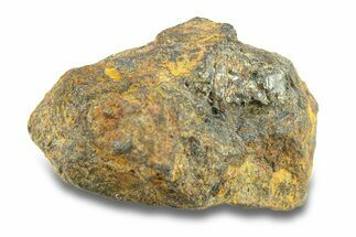 Pallasite Meteorite ( g) - NWA #281398
