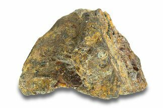 Pallasite Meteorite ( g) - NWA #281413