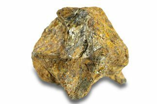 Pallasite Meteorite ( g) - NWA #281444