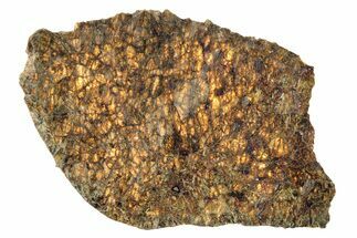 Diogenite Meteorite ( g) Slice - From Vesta Micro-Planet #281478