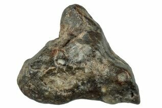 Laayoune 002 Meteorites For Sale