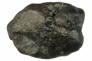 Volcanic  2枚 Lunar Meteorite - Laayoune 002 For Sale - FossilEra.com