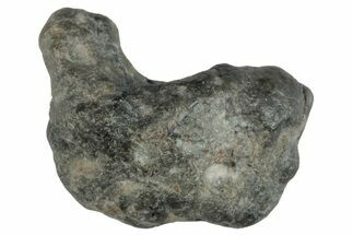 Lunar Meteorite ( g) - Laayoune #281631