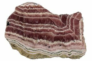 Polished Banded Rhodochrosite Slab - Argentina #281819