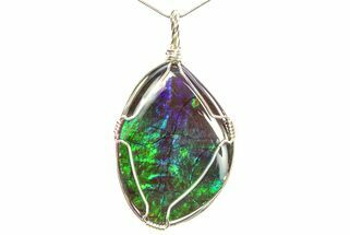 Wire Wrapped Ammolite Pendant (Necklace) - Blues, Purples, and Greens! #281634