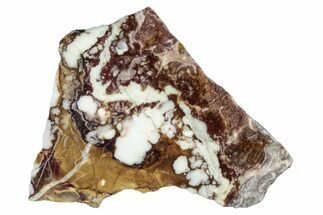 Polished Wild Horse Magnesite Slice - Arizona #281841