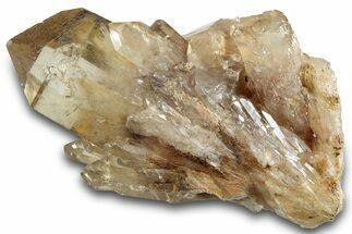Smoky Citrine Crystal Cluster - Lwena, Congo #281866